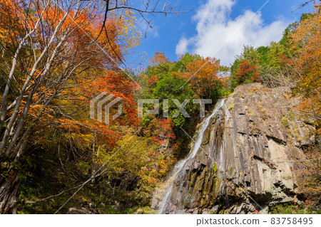 Ookura秋天 83758495