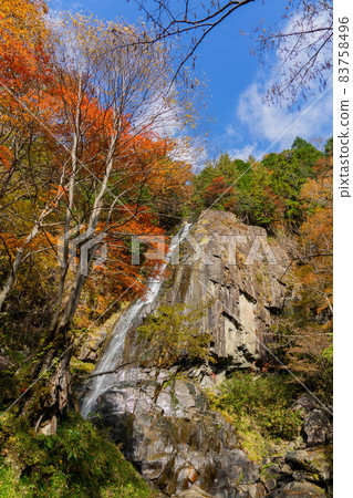 Ookura Fall Ookura Fall 83758496