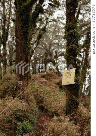 amazing view from the volcano amazing view from the volcano 83758579