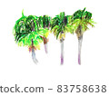 Colorful kuba forest 83758638