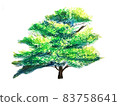 Colorful tree 83758641