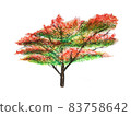 Autumn leaves tree 83758642