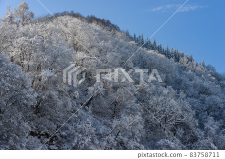 冬天的風景[長野縣] 83758711