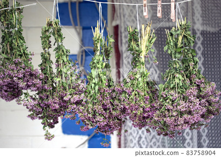Bunches of oregano herbs. A healing plant with purple flowers. 83758904