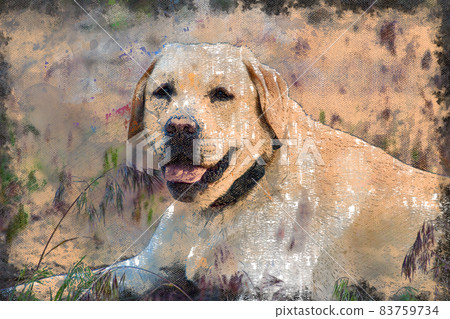 Portrait of a cream-colored Labrador. 83759734