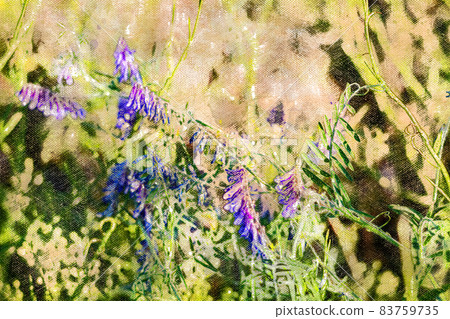 Vicia cracca. Lilac clusters of meadow grass flowers. Vicia cracca. Lilac clusters of meadow grass flowers. 83759735