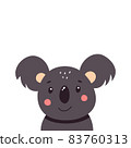 Cute koala. Vector illustration isolated on white background 83760313