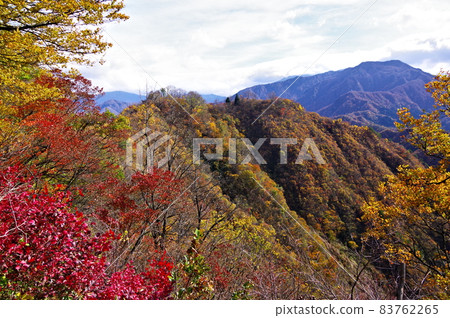 新潟縣南魚沼市的坂戶山和坂戶城遺址 83762265