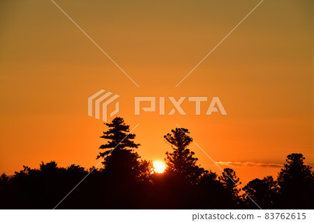 日出時的北斗市白州町（日本杉） 83762615
