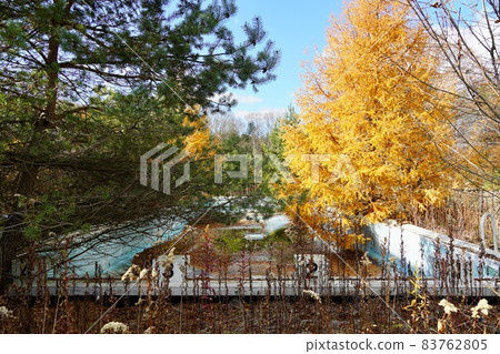 Abandoned pool (Hobetsu Municipal Inari Elementary School, closed school) Abandoned pool (Hobetsu Municipal Inari Elementary School, closed school) 83762805