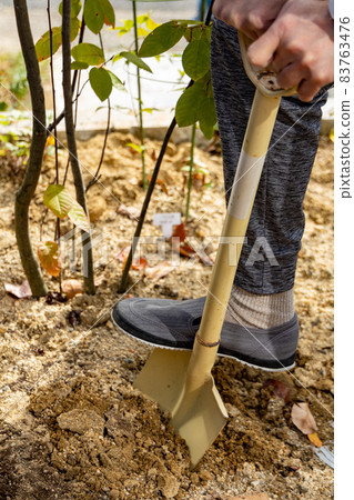一個人用大鏟子在花園裡挖土 83763476