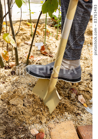 一個人用大鏟子在花園裡挖土 83763493