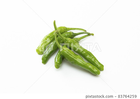 Shishito白背 83764259