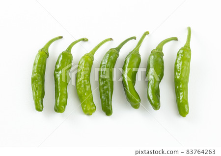 Shishito白背 83764263