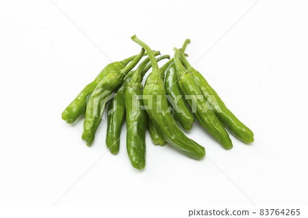 Shishito白背 83764265