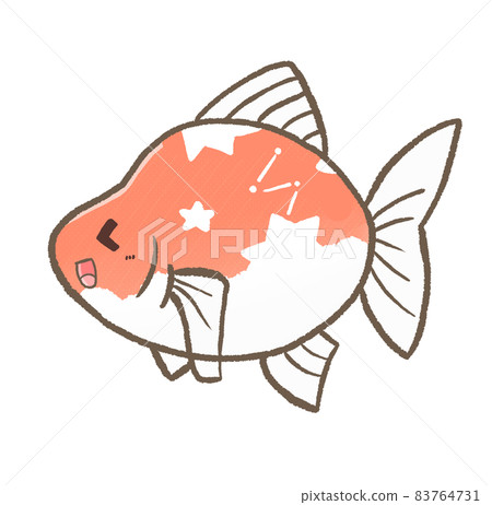 R：更童話水族箱☆金魚⑦ 83764731