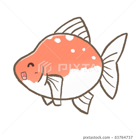 R：更童話水族箱☆金魚⑤ 83764737