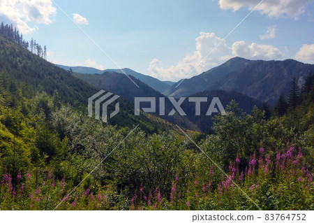 Picturesque beautiful view of the mountain valley. Picturesque beautiful view of the mountain valley. 83764752