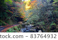 岩國縣錦町北谷町的紅葉 83764932