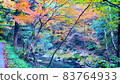 錦町、秋葉景點北谷町 83764933