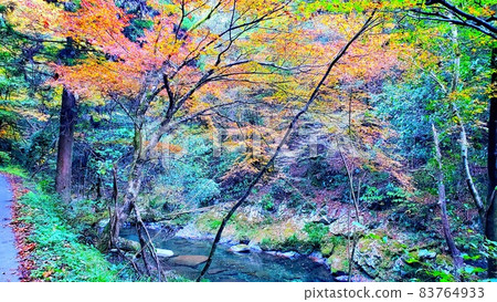 錦町、秋葉景點北谷町 錦町、秋葉景點北谷町 83764933