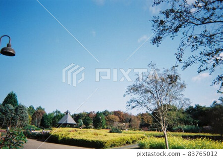 秋天的天空和公園 秋天的天空和公園 83765012