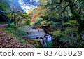 Kidanicu峽谷 83765029
