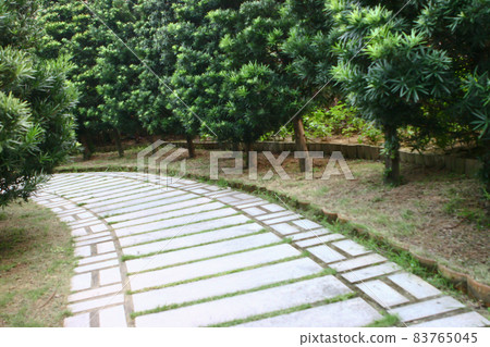 a Concrete path in Lingnan Garden, hk 83765045