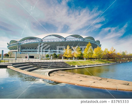 新潟市秋季電化大天鵝體育場 新潟市秋季電化大天鵝體育場 83765333