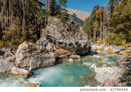 Mountain river in wild forest. High mountain landscape with river 83766408