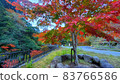Kidanicu峽谷 83766586
