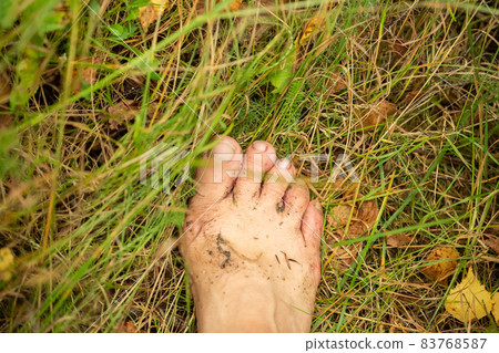 the foot is covered with mud on the grass the foot is covered with mud on the grass 83768587