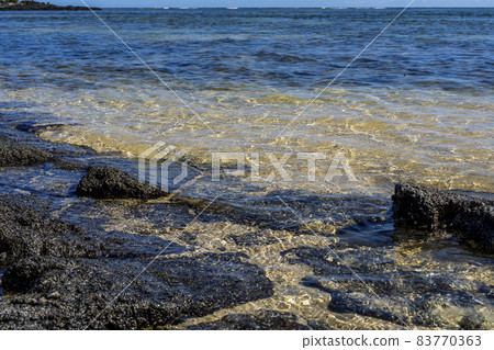 Close-up of volcanic stone beach rock with shells and barnacles on the water Close-up of volcanic stone beach rock with shells and barnacles on the water 83770363