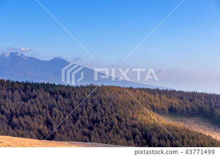 Kurumayama Plateau (Autumn Miscanthus sunny) 83771499