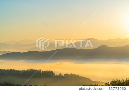 秋天大峰高原的日出和七色大楓的秋葉[長野縣] 83773960