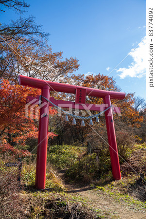 Harunayama Black-Haired Mountain Shrine Torii Harunayama Black-Haired Mountain Shrine Torii 83774092
