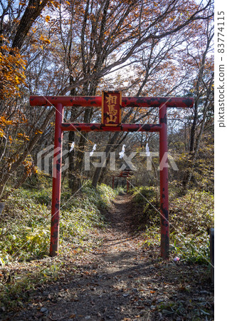 Harunayama Kurogeyama Shrine Torii on the back approach 83774115