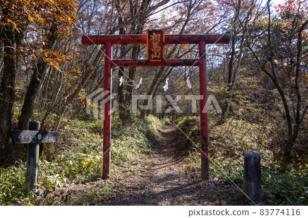 Harunayama Kurogeyama Shrine Torii on the back approach 83774116