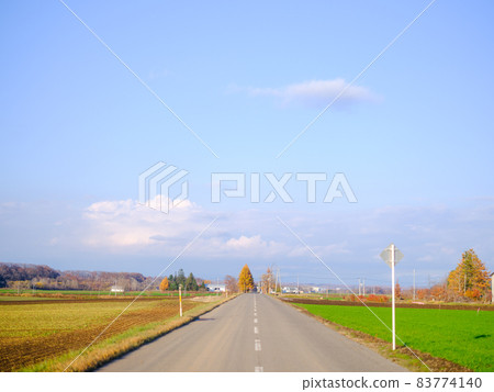Blue sky and straight road 83774140