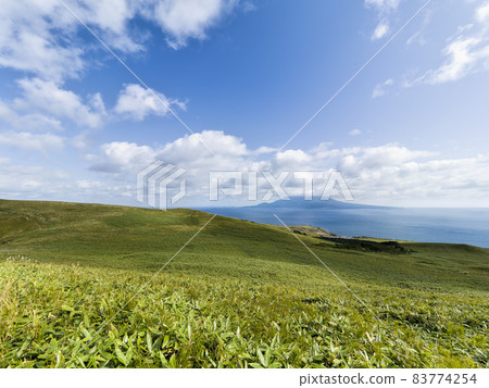 北海道禮文島桃岩天文台路線 / 日本北海道禮文島 北海道禮文島桃岩天文台路線 / 日本北海道禮文島 83774254