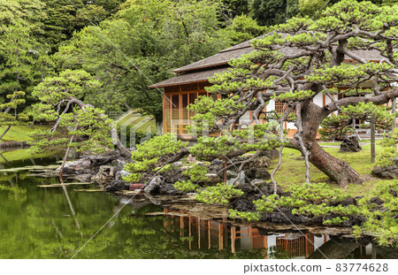 [東京汐留] 倒映在濱離宮庭園潮池邊的黑松和燕子茶館。 83774628