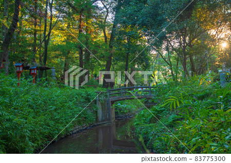 Menuma Seitenzan Kangiin Precincts Benten Pond Autumn Season Menuma Seitenzan Kangiin Precincts Benten Pond Autumn Season 83775300