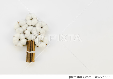 top view cotton flowers bouquet with copy space. High quality beautiful photo concept top view cotton flowers bouquet with copy space. High quality beautiful photo concept 83775888