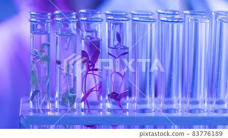test tubes biotechnology laboratory. High quality beautiful photo concept test tubes biotechnology laboratory. High quality beautiful photo concept 83776189