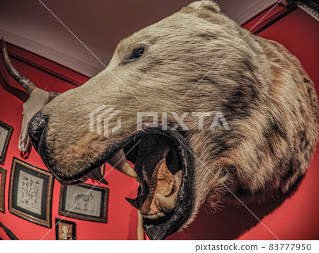 Kobe Ijinkan Tour Ben's House Kobe Ijinkan Tour Ben's House 83777950