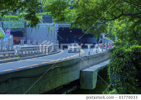 首都高速內環線C1千鳥淵/皇居（首都高速） 83778033