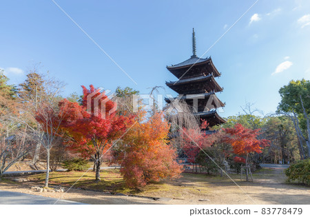 Five-storied pagoda and autumn leaves at Ninnaji Temple in Kyoto 83778479