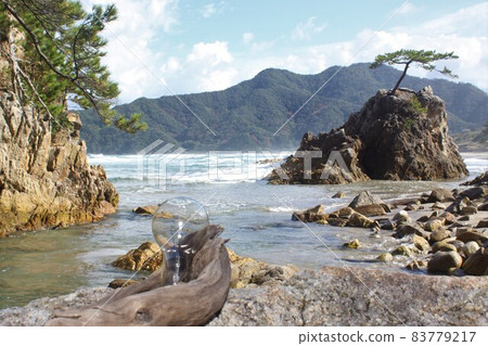 Old light bulbs that drifted to the coast, driftwood, incandescent light bulbs, coastal waves, sandy beaches, reefs, rocks, pine flowers 83779217