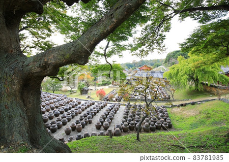 Jangdokdae scenery, Myungjae old house Jangdokdae scenery, Myungjae old house 83781985