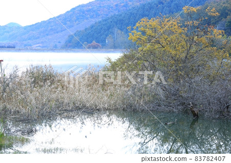 Morning view, Moongwang Reservoir 83782407